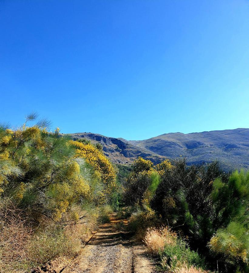 佩里那 One Life Malaga Retreat酒店 外观 照片