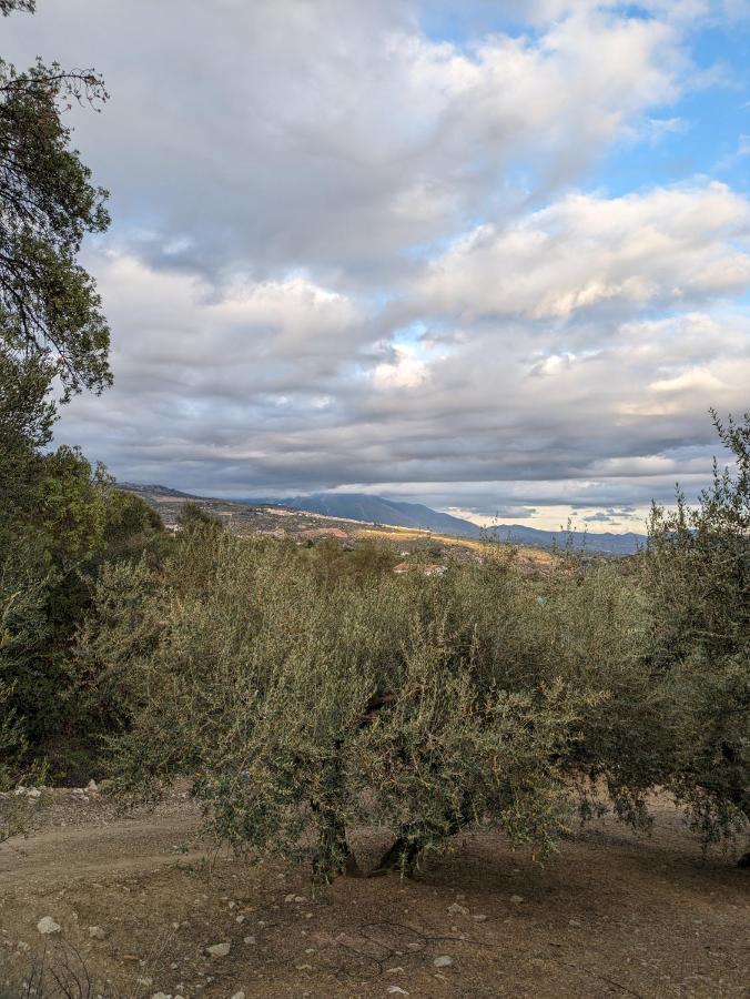佩里那 One Life Malaga Retreat酒店 外观 照片
